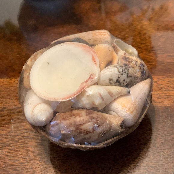 Sea Shell Basket made in  Philippines Assorted Seashells - Picture 1 of 4